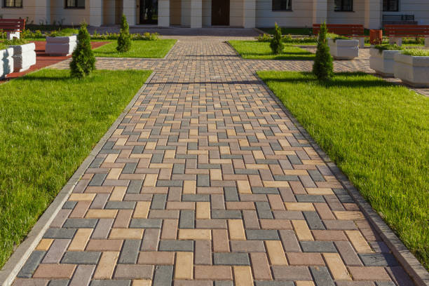 Best Driveway Paving Contractor  in William Paterson University Of New Jersey, NJ